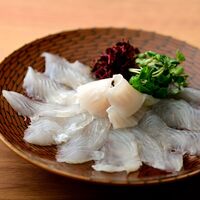 八百姫セット （お刺身・昆布〆）タレ付き / ヒラメ ひらめ 送料無料 国産