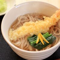 信州半生二八そば10食セット / 蕎麦 送料無料