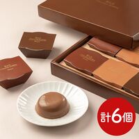 リッチチョコレートプリン6個詰 / 送料無料