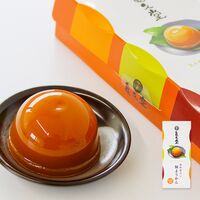 【倉入れ】奈良 「亀久堂」 吉野葛入り 柿ようかん（ケース入数：24 , ロット：5）