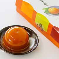 【倉入れ】奈良 「亀久堂」 吉野葛入り 柿ようかん（ケース入数：24 , ロット：5）