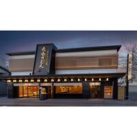 【倉入れ】群馬 「花山うどん」 老舗のカレーつけうどん（ケース入数：10 , ロット：1）