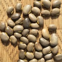 【上代厳守】熊本県産 むくな豆粉末 / ムクナ豆 国産 ポスト投函 送料無料