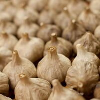 【上代厳守】九州産にんにく卵黄 極 / サプリ ポスト投函 送料無料