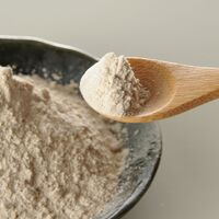 【上代厳守】熊本県産 菊芋の粉末 / イヌリン 国産 きくいも ポスト投函 送料無料