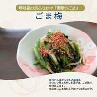 【組み合わせ自由】珍味処の京ふりかけ「衝撃のごま」ごま梅 40g×12個×8 / ふりかけ ごま 送料無料
