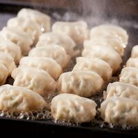 福岡 「博多華味鳥」 ひとくち餃子セット / ぎょうざ 餃子 送料無料