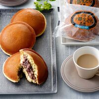 北海道 「乳蔵」 十勝生どら10個セット / どら焼き どらやき セット 送料無料