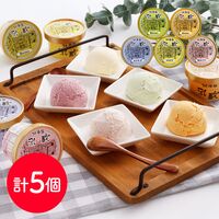 北海道 「乳蔵」 アイスクリーム5個セット / アイス セット 送料無料