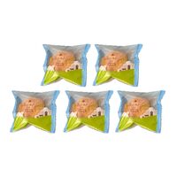 北海道 「乳蔵」 ミルクシュー5個セット / シュークリーム 送料無料