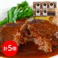 岐阜 「キッチン飛騨」 飛騨牛＆飛騨豚使用ハンバーグ詰合せ 各5個
