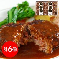 岐阜 「キッチン飛騨」 飛騨牛＆飛騨豚使用ハンバーグ詰合せ 各6個