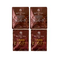 神奈川 「横浜ロイヤルパークホテル」監修 シチュー＆ハンバーグセット（ビーフシチュー170g×2、デミグラスソースハンバーグ180g×2）