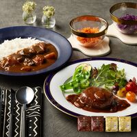 神奈川 「横浜ロイヤルパークホテル」監修 カレー＆ハンバーグセット（ビーフカレー200g×2、デミグラスソースハンバーグ180g×2）
