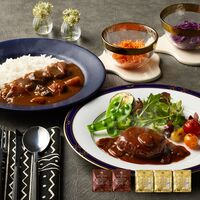 神奈川 「横浜ロイヤルパークホテル」監修 カレー＆ハンバーグセット（ビーフカレー200g×3、デミグラスソースハンバーグ180g×2）