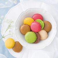 ダロワイヨ マカロンラスク(30枚入) MRU30 4173-025 / マカロン ラスク 送料無料