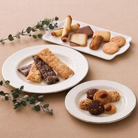 ロイスダール ロイスダールギフト LG302 4186-022 （アマンドリーフ・ショコラリーフ各7枚・クッキー(9種類)29個） / 焼き菓子 詰め合わせ セット 送料無料