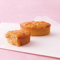 ひととえ こがね芋 KGB-15 4192-051 （15個） / スイートポテト セット 送料無料