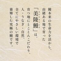 フィレうなぎ１尾※蒲焼  タレ＆山椒１セット / 鰻 ウナギ ギフト 送料無料