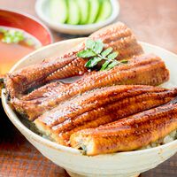 フィレうなぎ２尾※蒲焼  タレ＆山椒２セット / 鰻 ウナギ ギフト 送料無料