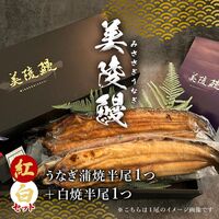 【食べ比べ】フィレうなぎ（半身）※蒲焼１＋白焼１ / 鰻 ウナギ ギフト 送料無料