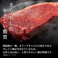 能登牛 サーロインステーキ 240g / 牛肉 ギフト 送料無料