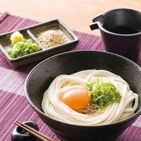 シマイチ 讃岐うどん URZ-20 4250-017　(8束) / うどん 詰め合わせ セット 送料無料