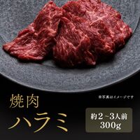 焼肉 ハラミ 外国産 300g×1P / 牛肉 ギフト 送料無料