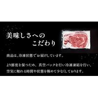 焼肉 ハラミ 外国産 300g×1P / 牛肉 ギフト 送料無料焼肉 ハラミ 外国産 300g×1P / 牛肉 ギフト 送料無料