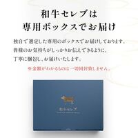 黒毛和牛サーロインステーキ 200g×6枚 / 牛肉 ギフト 送料無料