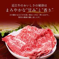 近江牛 すき焼き・しゃぶしゃぶ用モモ 250g×2P / 牛肉 ギフト 送料無料