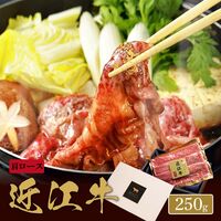 近江牛 焼きすき用 肩ロース 250g×1P / 牛肉 ギフト 送料無料