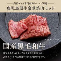 鹿児島黒牛 特選カルビ＆赤身 焼肉食べ比べセット1.2kg / 牛肉 ギフト 送料無料