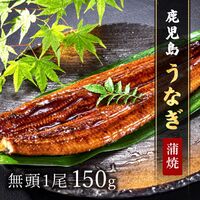 鹿児島うなぎ無頭 蒲焼1尾150g × 1P ※タレ・山椒付 / 鰻 ウナギ ギフト 送料無料