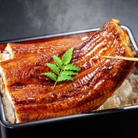 鹿児島うなぎ無頭 蒲焼1尾150g × 1P ※タレ・山椒付 / 鰻 ウナギ ギフト 送料無料