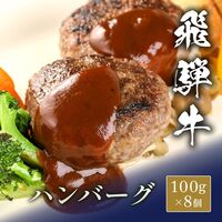 飛騨牛 牛100％ハンバーグ 100g x 8個 / ハンバーグ ギフト 送料無料