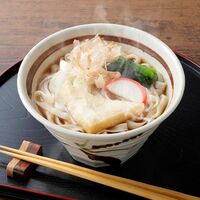 【上代厳守】なごやいろいろ麺 KT-50 / 半生麺 うどん きしめん セット 送料無料