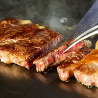 飛騨牛 ステーキ 肩ロース 100g x 8枚 / 牛肉 ギフト 送料無料