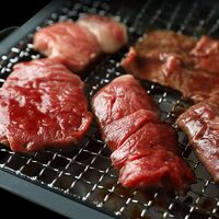 飛騨牛 焼肉 赤身 600g / 牛肉 ギフト 送料無料