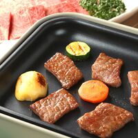 飛騨牛 焼肉 肩ロース 500g / 牛肉 ギフト 送料無料