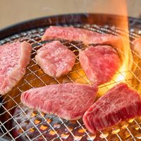 飛騨牛 焼肉 カイノミ 400g / 牛肉 ギフト 送料無料