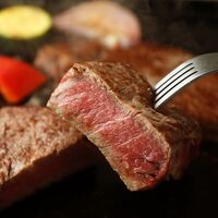 飛騨牛 焼肉 ヒレ 特盛 600g / 牛肉 ギフト 送料無料飛騨牛 焼肉 ヒレ 特盛 600g / 牛肉 ギフト 送料無料