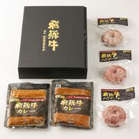 飛騨牛 牛100％ハンバーグ2個＋カレー2袋 / ハンバーグ ギフト 送料無料