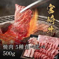 宮崎牛 焼肉 5種食べ比べ 500g / 牛肉 ギフト 送料無料
