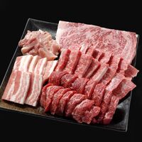 宮崎牛 焼肉 5種食べ比べ 500g / 牛肉 ギフト 送料無料