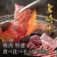 宮崎牛 焼肉 特選食べ比べセット 600g / 牛肉 ギフト 送料無料