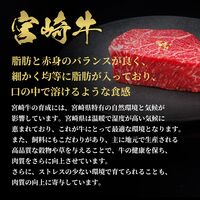 宮崎牛 特上バラ すき焼き 400g / 牛肉 ギフト 送料無料