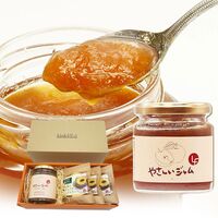 りんごづくしギフトBOX / ジャム 紅茶 セット 送料無料