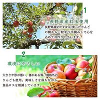 りんごづくしギフトBOX / ジャム 紅茶 セット 送料無料