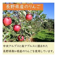 和紅茶と輪りんごのアップルティーギフト籠袋 / 紅茶 送料無料